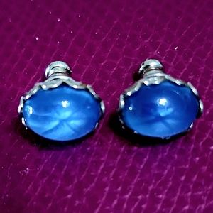 Blue post Earrings